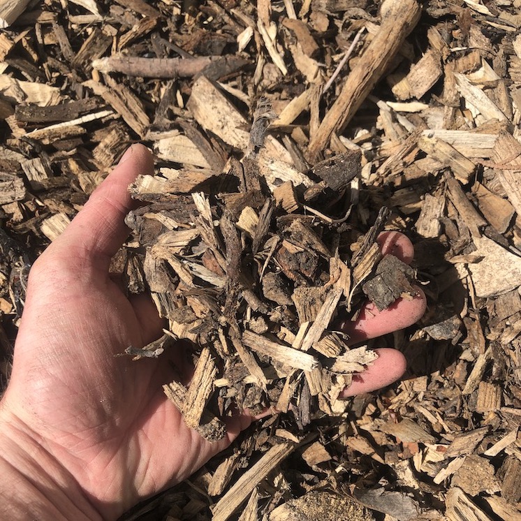 Winnipeg Plant Deliveries Online Garden and Plant Store